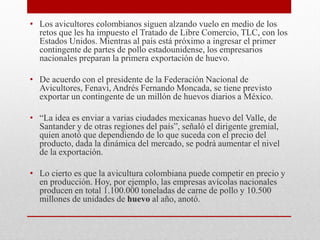 • Los avicultores colombianos siguen alzando vuelo en medio de los
retos que les ha impuesto el Tratado de Libre Comercio, TLC, con los
Estados Unidos. Mientras al país está próximo a ingresar el primer
contingente de partes de pollo estadounidense, los empresarios
nacionales preparan la primera exportación de huevo.
• De acuerdo con el presidente de la Federación Nacional de
Avicultores, Fenavi, Andrés Fernando Moncada, se tiene previsto
exportar un contingente de un millón de huevos diarios a México.
• “La idea es enviar a varias ciudades mexicanas huevo del Valle, de
Santander y de otras regiones del país”, señaló el dirigente gremial,
quien anotó que dependiendo de lo que suceda con el precio del
producto, dada la dinámica del mercado, se podrá aumentar el nivel
de la exportación.
• Lo cierto es que la avicultura colombiana puede competir en precio y
en producción. Hoy, por ejemplo, las empresas avícolas nacionales
producen en total 1.100.000 toneladas de carne de pollo y 10.500
millones de unidades de huevo al año, anotó.
 