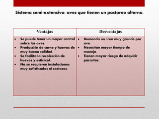 Ventajas Desventajas
 Se puede tener un mayor control
sobre las aves.
 Producción de carne y huevos de
muy buena calidad.
 Se facilita la recolección de
huevos y estiércol.
 No se requieren instalaciones
muy sofisticadas ni costosas.
 Demanda un área muy grande por
ave.
 Necesitan mayor tiempo de
manejo.
 Tienen mayor riesgo de adquirir
parásitos.
Sistema semi-extensivo: aves que tienen un pastoreo alterno.
 
