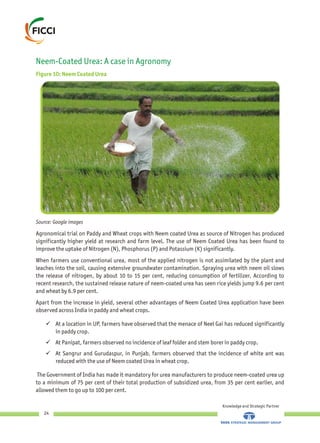 Neem-Coated Urea: A case in Agronomy
Figure 10: Neem Coated Urea
Agronomical trial on Paddy and Wheat crops with Neem coated Urea as source of Nitrogen has produced
significantly higher yield at research and farm level. The use of Neem Coated Urea has been found to
improve the uptake of Nitrogen (N), Phosphorus (P) and Potassium (K) significantly.
When farmers use conventional urea, most of the applied nitrogen is not assimilated by the plant and
leaches into the soil, causing extensive groundwater contamination. Spraying urea with neem oil slows
the release of nitrogen, by about 10 to 15 per cent, reducing consumption of fertilizer. According to
recent research, the sustained release nature of neem-coated urea has seen rice yields jump 9.6 per cent
and wheat by 6.9 per cent.
Apart from the increase in yield, several other advantages of Neem Coated Urea application have been
observed across India in paddy and wheat crops.
üAt a location in UP, farmers have observed that the menace of Neel Gai has reduced significantly
in paddy crop.
üAt Panipat, farmers observed no incidence of leaf folder and stem borer in paddy crop.
üAt Sangrur and Gurudaspur, in Punjab, farmers observed that the incidence of white ant was
reduced with the use of Neem coated Urea in wheat crop.
The Government of India has made it mandatory for urea manufacturers to produce neem-coated urea up
to a minimum of 75 per cent of their total production of subsidized urea, from 35 per cent earlier, and
allowed them to go up to 100 per cent.
Knowledge and Strategic Partner
24
Source: Google images
 