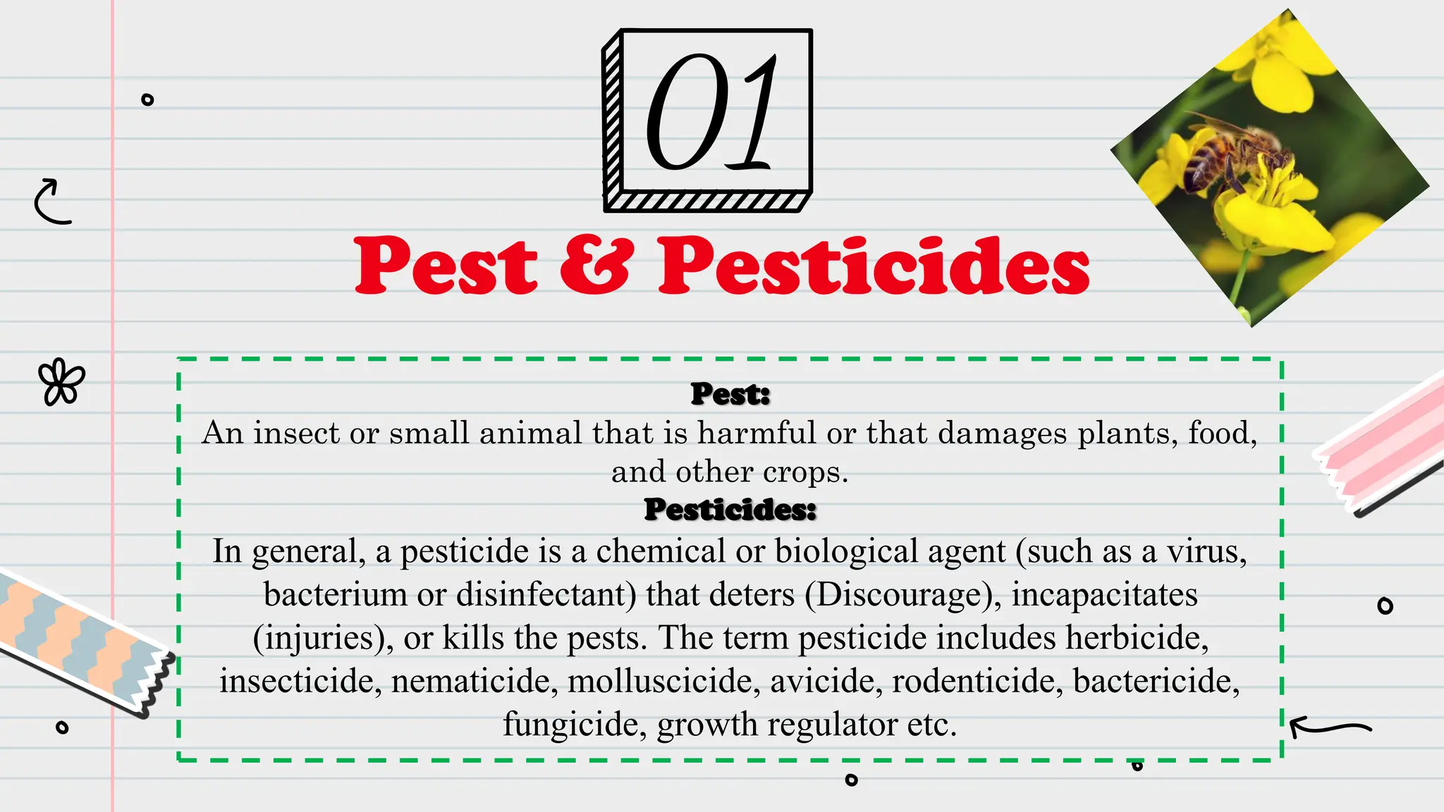 Introduction to Agrochemicals and Pesticides | PDF