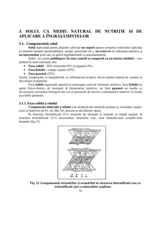 Componentele Solului Agrochimie | PDF
