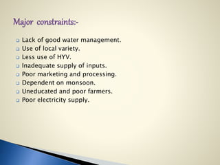  Lack of good water management.
 Use of local variety.
 Less use of HYV.
 Inadequate supply of inputs.
 Poor marketing and processing.
 Dependent on monsoon.
 Uneducated and poor farmers.
 Poor electricity supply.
 