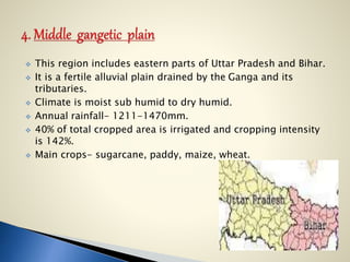  This region includes eastern parts of Uttar Pradesh and Bihar.
 It is a fertile alluvial plain drained by the Ganga and its
tributaries.
 Climate is moist sub humid to dry humid.
 Annual rainfall- 1211-1470mm.
 40% of total cropped area is irrigated and cropping intensity
is 142%.
 Main crops- sugarcane, paddy, maize, wheat.
 