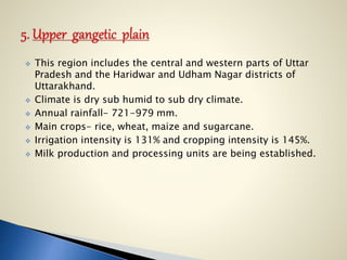  This region includes the central and western parts of Uttar
Pradesh and the Haridwar and Udham Nagar districts of
Uttarakhand.
 Climate is dry sub humid to sub dry climate.
 Annual rainfall- 721-979 mm.
 Main crops- rice, wheat, maize and sugarcane.
 Irrigation intensity is 131% and cropping intensity is 145%.
 Milk production and processing units are being established.
 