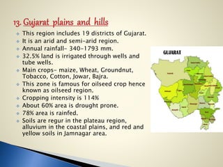  This region includes 19 districts of Gujarat.
 It is an arid and semi-arid region.
 Annual rainfall- 340-1793 mm.
 32.5% land is irrigated through wells and
tube wells.
 Main crops- maize, Wheat, Groundnut,
Tobacco, Cotton, Jowar, Bajra.
 This zone is famous for oilseed crop hence
known as oilseed region.
 Cropping intensity is 114%
 About 60% area is drought prone.
 78% area is rainfed.
 Soils are regur in the plateau region,
alluvium in the coastal plains, and red and
yellow soils in Jamnagar area.
 