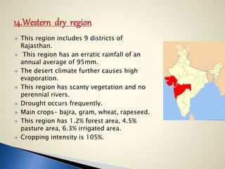  This region includes 9 districts of
Rajasthan.
 This region has an erratic rainfall of an
annual average of 95mm.
 The desert climate further causes high
evaporation.
 This region has scanty vegetation and no
perennial rivers.
 Drought occurs frequently.
 Main crops- bajra, gram, wheat, rapeseed.
 This region has 1.2% forest area, 4.5%
pasture area, 6.3% irrigated area.
 Cropping intensity is 105%.
 