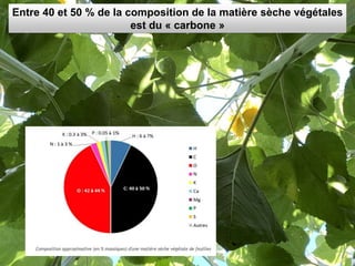 Entre 40 et 50 % de la composition de la matière sèche végétales
est du « carbone »
 