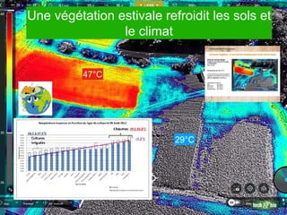 ---Internal Use---
Une végétation estivale refroidit les sols et
le climat
47°C
29°C
 