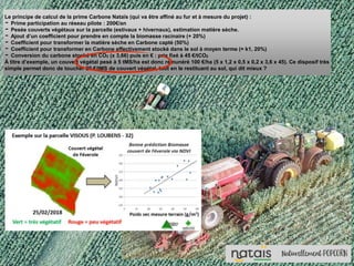 Le principe de calcul de la prime Carbone Nataïs (qui va être affiné au fur et à mesure du projet) :
- Prime participation au réseau pilote : 200€/an
- Pesée couverts végétaux sur la parcelle (estivaux + hivernaux), estimation matière sèche.
- Ajout d’un coefficient pour prendre en compte la biomasse racinaire (+ 20%)
- Coefficient pour transformer la matière sèche en Carbone capté (50%)
- Coefficient pour transformer en Carbone effectivement stocké dans le sol à moyen terme (= k1, 20%)
- Conversion du carbone stocké en CO2 (x 3,66) puis en € : prix fixé à 45 €/tCO2
À titre d’exemple, un couvert végétal pesé à 5 tMS/ha est donc rémunéré 100 €/ha (5 x 1,2 x 0,5 x 0,2 x 3,6 x 45). Ce disposif très
simple permet donc de toucher 20 €/tMS de couvert végétal, tout en le restituant au sol, qui dit mieux ?
 