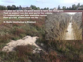 « A pour sur qu’elle est point boune la tarre des Solognots
Tout en prétant son dou pour porter leu sabiots
L’a toujours été une bein mauvaise norice
Pour qu’c’est d’faire vivre ses fils ….
H. Dedin (instituteur à Dhuizon)
 