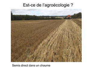 Est-ce de l’agroécologie ?
Semis direct dans un chaume
 