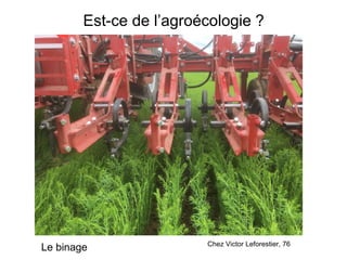 Est-ce de l’agroécologie ?
Le binage Chez Victor Leforestier, 76
 