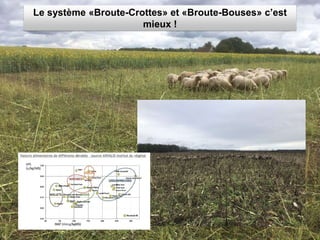 Le système «Broute-Crottes» et «Broute-Bouses» c’est
mieux !
 