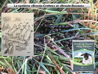 Le système «Broute-Crottes» et «Broute-Bouses»
 