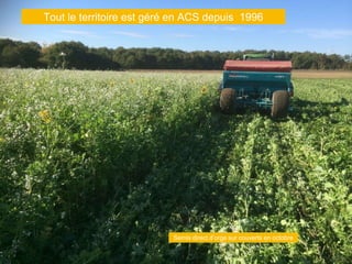 Tout le territoire est géré en ACS depuis 1996
Semis direct d’orge sur couverts en octobre
 