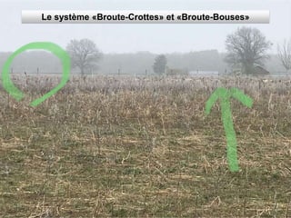 Le système «Broute-Crottes» et «Broute-Bouses»
 