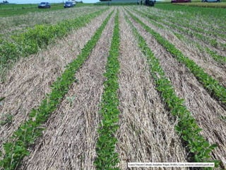 Laura Vincent-Caboud, Joséphine Peigné, ISARA, Lyon, lavincent.caboud@gmail.com
 