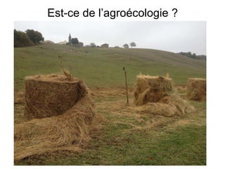 Est-ce de l’agroécologie ?
 