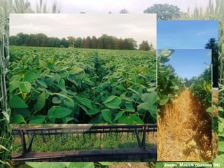 Jason Mauck (Gaston IN)
 