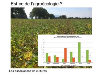 AgriGenève Septembre 16
Est-ce de l’agroécologie ?
Les associations de cultures
 
