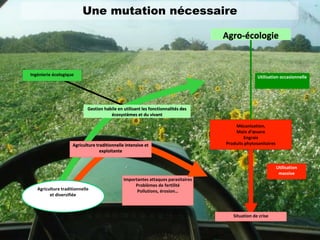 Gestion habile en utilisant les fonctionnalités des
écosystèmes et du vivant
Agro-écologie
Situation de crise
Mécanisation,
Main d’œuvre
Engrais
Produits phytosanitaires
Ingénierie écologique
Utilisation
massive
Utilisation occasionnelle
Importantes attaques parasitaires
Problèmes de fertilité
Pollutions, érosion…
Agriculture traditionnelle intensive et
exploitante
Agriculture traditionnelle
et diversifiée
Une mutation nécessaire
 