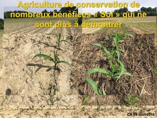 CA 64 Juin 2016
Agriculture de conservation de
nombreux bénéfices « Sol » qui ne
sont plus à démontrer
 