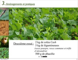3. Aménagements et pratiques

2 kg de colza Cash
Deuxième essai :
5 kg de légumineuses
(vesce pourpre, vesce commune et trèfle
d’alexandrie)

500 g de phacélie
14
lundi 27 janvier 14

14

 