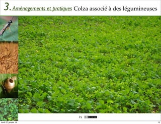 3. Aménagements et pratiques Colza associé à des légumineuses

15
lundi 27 janvier 14

15

 