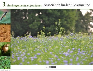 3. Aménagements et pratiques Association lin-lentille-caméline

16
lundi 27 janvier 14

16

 