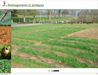 3. Aménagements et pratiques
Collection : 86 variétés de blé, 21 orges et 2 seigles

17
lundi 27 janvier 14

17

 