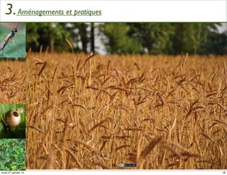 3. Aménagements et pratiques

18
lundi 27 janvier 14

18

 