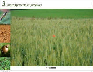 3. Aménagements et pratiques

19
lundi 27 janvier 14

19

 