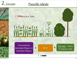 2. Concepts

Parcelle idéale

> 100m (OILB, 2004)

Associations
interspécifiques et
intraspécifiques

+

SCE

+

Paysage : choix
d’espèces clés

8
lundi 27 janvier 14

8

 