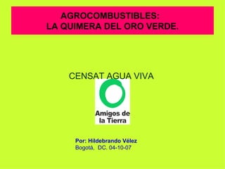 AGROCOMBUSTIBLES:  LA QUIMERA DEL ORO VERDE. ,[object Object],Por: Hildebrando Vélez Bogotá,  DC. 04-10-07 