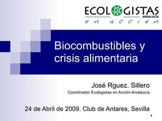 Biocombustibles y crisis alimentaria José Rguez. Sillero Coordinador Ecologistas en Acción-Andalucía 24 de Abril de 2009. Club de Antares, Sevilla 