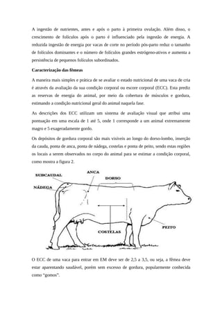 A ingestão de nutrientes, antes e após o parto à primeira ovulação. Além disso, o 
crescimento de folículos após o parto é influenciado pela ingestão de energia. A 
reduzida ingestão de energia por vacas de corte no período pós-parto reduz o tamanho 
de folículos dominantes e o número de folículos grandes estrógeno-ativos e aumenta a 
persistência de pequenos folículos subordinados. 
Caracterização das fêmeas 
A maneira mais simples e prática de se avaliar o estado nutricional de uma vaca de cria 
é através da avaliação da sua condição corporal ou escore corporal (ECC). Esta prediz 
as reservas de energia do animal, por meio da cobertura de músculos e gordura, 
estimando a condição nutricional geral do animal naquela fase. 
As descrições dos ECC utilizam um sistema de avaliação visual que atribui uma 
pontuação em uma escala de 1 até 5, onde 1 corresponde a um animal extremamente 
magro e 5 exageradamente gordo. 
Os depósitos de gordura corporal são mais visíveis ao longo do dorso-lombo, inserção 
da cauda, ponta de anca, ponta de nádega, costelas e ponta de peito, sendo estas regiões 
os locais a serem observados no corpo do animal para se estimar a condição corporal, 
como mostra a figura 2. 
O ECC de uma vaca para entrar em EM deve ser de 2,5 a 3,5, ou seja, a fêmea deve 
estar aparentando saudável, porém sem excesso de gordura, popularmente conhecida 
como “gomos”. 
 