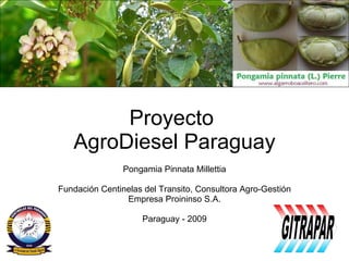 Proyecto  AgroDiesel Paraguay Pongamia Pinnata Millettia Fundación Centinelas del Transito, Consultora Agro-Gestión Empresa Proininso S.A. Paraguay - 2009 
