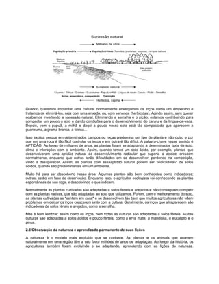 Quando queremos implantar uma cultura, normalmente enxergamos os inços como um empecilho e
tratamos de eliminá-los, seja com uma enxada, ou, com venenos (herbicidas). Agindo assim, sem querer
acabamos invertendo a sucessão natural. Eliminando a serralha e o picão, estamos contribuindo para
compactar um pouco o solo e dando condições para o desenvolvimento do caruru e da língua-de-vaca.
Depois, vem o papuã, a milhã e daqui a pouco nosso solo está tão compactado que aparecem a
guanxuma, a grama branca, a tiririca...
Isso explica porque em determinados campos ou roças predomina um tipo de planta e não outro e por
que em uma roça é tão fácil controlar os inços e em outra é tão difícil. A palavra-chave nesse sentido é
APTIDÃO. Ao longo de milhares de anos, as plantas foram se adaptando a determinados tipos de solo,
clima e interações com o ambiente. Assim, quando temos um solo ácido, por exemplo, plantas que
desenvolveram uma aptidão natural de desenvolvimento radicular que suporta a acidez, crescem
normalmente, enquanto que outras terão dificuldades em se desenvolver, perdendo na competição,
vindo a desaparecer. Assim, as plantas com essaaptidão natural podem ser "indicadoras" de solos
ácidos, quando são predominantes em um ambiente.
Muito há para ser descoberto nessa área. Algumas plantas são bem conhecidas como indicadoras;
outras, estão em fase de observação. Enquanto isso, o agricultor ecologista vai conhecendo as plantas
espontâneas de sua roça, e descobrindo o que indicam.
Normalmente as plantas cultivadas são adaptadas a solos férteis e arejados e não conseguem competir
com as plantas nativas, que são adaptadas ao solo que utilizamos. Porém, com o melhoramento do solo,
as plantas cultivadas se "sentem em casa" e se desenvolvem tão bem que muitos agricultores não vêem
problemas em deixar os inços crescerem junto com a cultura. Geralmente, os inços que ali aparecem são
indicadores de solos férteis e arejados, como a serralha.
Mas é bom lembrar: assim como os inços, nem todas as culturas são adaptadas a solos férteis. Muitas
culturas são adaptadas a solos ácidos e pouco férteis, como a erva mate, a mandioca, o eucalipto e o
pinus.
2.6 Observação da natureza e aprendizado permanente de suas lições
A natureza é o modelo mais evoluído que se conhece. As plantas e os animais que ocorrem
naturalmente em uma região têm a seu favor milhões de anos de adaptação. Ao longo da história, os
agricultores também foram evoluindo e se adaptando, aprendendo com as lições da natureza.
 