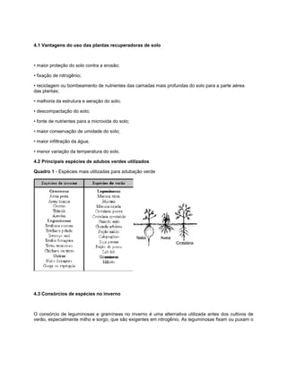 4.1 Vantagens do uso das plantas recuperadoras de solo
• maior proteção do solo contra a erosão;
• fixação de nitrogênio;
• reciclagem ou bombeamento de nutrientes das camadas mais profundas do solo para a parte aérea
das plantas;
• melhoria da estrutura e aeração do solo;
• descompactação do solo;
• fonte de nutrientes para a microvida do solo;
• maior conservação de umidade do solo;
• maior infiltração da água;
• menor variação da temperatura do solo.
4.2 Principais espécies de adubos verdes utilizados
Quadro 1 - Espécies mais utilizadas para adubação verde
4.3 Consórcios de espécies no inverno
O consórcio de leguminosas e gramíneas no inverno é uma alternativa utilizada antes dos cultivos de
verão, especialmente milho e sorgo, que são exigentes em nitrogênio. As leguminosas fixam ou puxam o
 
