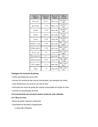 Vantagens do consórcio de plantas:
• melhor aproveitamento da luz solar;
• aumento do rendimento das culturas consorciadas, sem elevação dos custos;
• maior eficiência do uso da terra e da mão de obra;
• diminuição dos riscos de perdas das culturas consorciadas em função do clima;
• aumento da diversificação da renda.
4.4 Características das principais adubos verdes de verão utilizados
4.4.1 Mucuna cinza:
• Época de plantio: setembro a dezembro
• Quantidade de sementes e espaçamento:
• a lanço (60 a 90 kg/ha)
 