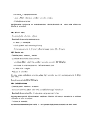 • em linhas _ 6 a 8 sementes/metro
• covas _ 40 cm entre covas com 2 e 3 sementes por cova.
• Produção de sementes:
Recomenda-se o plantio de 3 a 4 sementes/metro com espaçamento de 1 metro entre linhas (15 a
30kg/ha de sementes)
.
4.4.2 Mucuna preta:
• Época de plantio: setembro _ outubro
• Quantidade de sementes e espaçamento:
• a lanço: (70 a 90 kg/ha)
• covas: (0,40 m 2 a 3 sementes por cova)
• linhas: espaçamento de 50 cm e 6 a 8 sementes por metro - (60 a 80 kg/ha)
4.4.3 Mucuna anã:
• Época de plantio: setembro _ outubro
• Quantidade de sementes e espaçamento:
• em linhas : 50 cm entre linhas com 6 a 8 sementes por metro (80-100 kg/ha)
• em covas: 40 cm entre covas com 2 a 3 sementes por cova
• a lanço: 90 a 120 kg/ha
• Produção de sementes:
Em áreas para a produção de sementes, utilizar 6 a 8 sementes por metro com espaçamento de 50 cm
entre linhas.
O rendimento varia de 800 a 1500 kg/ha
4.4.4 Crotalária juncea:
• Época de plantio: setembro a dezembro
• Semeadura em linhas: 25 cm entre linhas com 20 sementes por metro linear
• Quantidade de sementes: 30 a 40 kg/ha tanto a lanço como em linhas.
A Crotalária júncea pode ser utilizada para silagem em consórcio com o sorgo, utilizando-se as sementes
misturadas na caixa semeadura.
• Produção de sementes:
A quantidade de sementes pode ser de 20 a 30 kg/ha e o espaçamento de 40 a 50 cm entre linhas.
 
