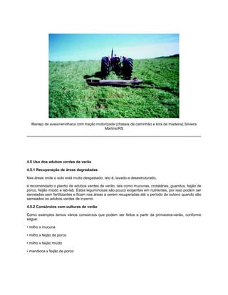 Manejo de aveia+ervilhaca com tração motorizada (chassis de caminhão e tora de madeira).Silveira
Martins/RS
4.5 Uso dos adubos verdes de verão
4.5.1 Recuperação de áreas degradadas
Nas áreas onde o solo está muito desgastado, isto é, lavado e desestruturado,
é recomendado o plantio de adubos verdes de verão, tais como mucunas, crotalárias, guandus, feijão de
porco, feijão miúdo e lab-lab. Estas leguminosas são pouco exigentes em nutrientes, por isso podem ser
semeadas sem fertilizantes e ficam nas áreas a serem recuperadas até o período de outono quando são
semeados os adubos verdes de inverno.
4.5.2 Consórcios com culturas de verão
Como exemplos temos vários consórcios que podem ser feitos a partir da primavera-verão, conforme
segue:
• milho x mucuna
• milho x feijão de porco
• milho x feijão miúdo
• mandioca x feijão de porco
 