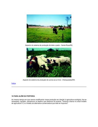 Aspecto do sistema de produção de leite a pasto - Santa Rosa/RS.
Aspecto do sistema de produção de suínos ao ar livre - Charqueadas/RS.
Índice
10 PARA ALÉM DA PORTEIRA
Ao mesmo tempo em que vamos modificando nossa produção em direção à agricultura ecológica, faz-se
necessário, também, pensarmos no destino que daremos ao produto. Teremos chance no atual modelo
de agricultura? E no modelo da alternativa conservadora que está se impondo?
 