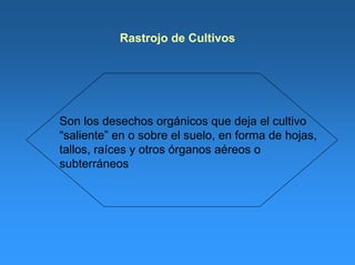 Rastrojo de Cultivos
Son los desechos orgánicos que deja el cultivo
“saliente” en o sobre el suelo, en forma de hojas,
tallos, raíces y otros órganos aéreos o
subterráneos
 