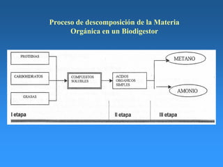 Proceso de descomposición de la Materia
Orgánica en un Biodigestor
 