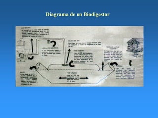 Diagrama de un Biodigestor
 