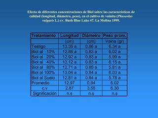 Efecto de diferentes concentraciones de Biol sobre las características de
calidad (longitud, diámetro, peso), en el cultivo de vainita (Phaseolus
vulgaris L.) cv. Bush Blue Lake 47. La Molina 1999.
Tratamiento Longitud Diámetro Peso prom.
(cm) (cm) Vaina (gr)
Testigo 13.36 a 0.86 a 6.34 a
Biol al 10% 12.86 a 0.83 a 6.02 a
Biol al 20% 12.92 a 0.83 a 5.99 a
Biol al 40% 13.12 a 0.83 a 6.15 a
Biol al 80% 12.71 a 0.85 a 5.81 a
Biol al 100% 13.04 a 0.84 a 6.03 a
Biol al Suelo 12.81 a 0.84 a 5.78 a
Promedio 12.97 0.84 6.02
c.v 2.87 3.55 6.30
Significación n.s n.s n.s
 
