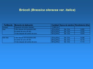 Brócoli (Brassica oleracea var. italica)
Fertilizante Momento de Aplicación Cantidad Epoca de siembra Rendimiento (t/ha)
Compost Preparación del terreno (bandas) 13.888 t/ha
Urea 5 días despues del transplante (ddt) 100 kg N/ha Set - Ene 14.802
Al cambio de surco (35 ddt) 200 kg N/ha Set - Ene 13.333
10 días después del cambio de surco 300 kg N/ha Set - Ene 15.916
Solo Urea 5 días despues del transplante (ddt) 100 kg N/ha Set - Ene 10.208
Al cambio de surco (35 ddt) 200 kg N/ha Set - Ene 10.119
10 días después del cambio de surco 300 kg N/ha Set - Ene 11.114
 
