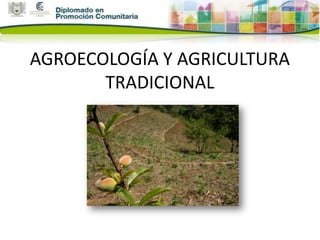 AGROECOLOGÍA Y AGRICULTURA
       TRADICIONAL
 