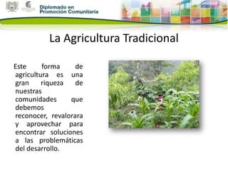 La Agricultura Tradicional

Este     forma     de
agricultura es una
gran     riqueza   de
nuestras
comunidades      que
debemos
reconocer, revalorara
y aprovechar para
encontrar soluciones
a las problemáticas
del desarrollo.
 